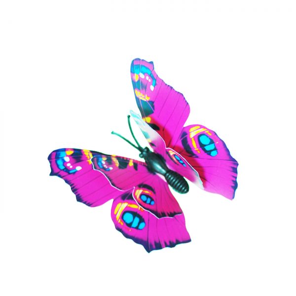 BUTTERFLY B007