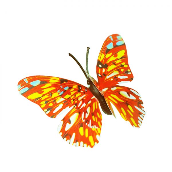 BUTTERFLY B005