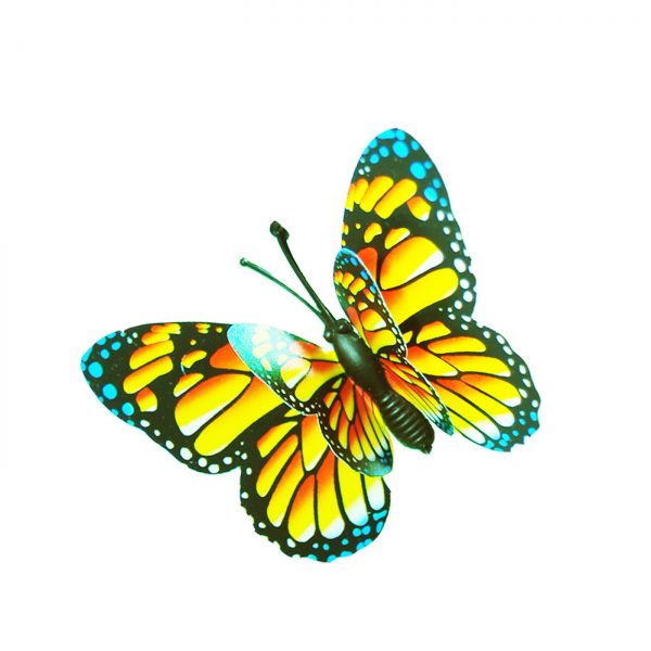 BUTTERFLY B001