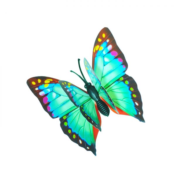 BUTTERFLY B008