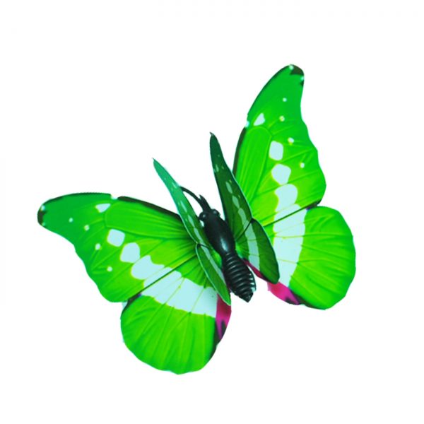 BUTTERFLY B009
