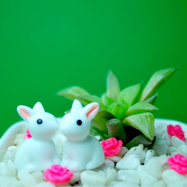 BUNNIES + PINK FLOWERS - Image 2