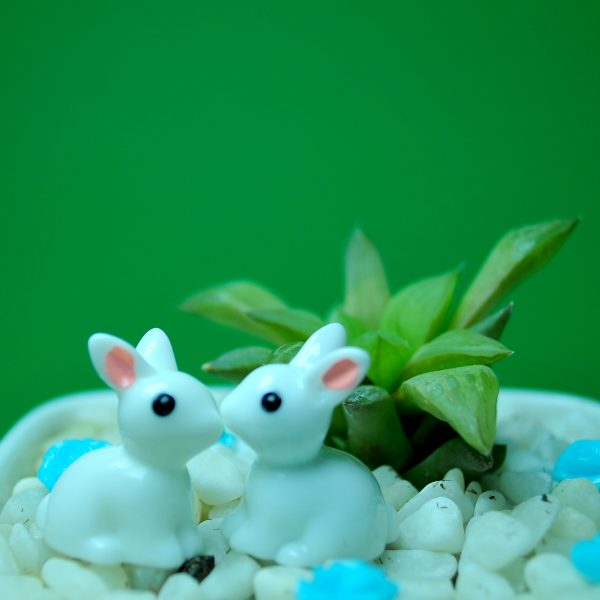 BUNNIES + BLUE FLOWERS - Image 2