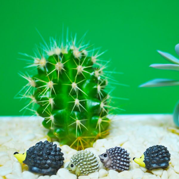 HEDGEHOG FAMILY - Image 2