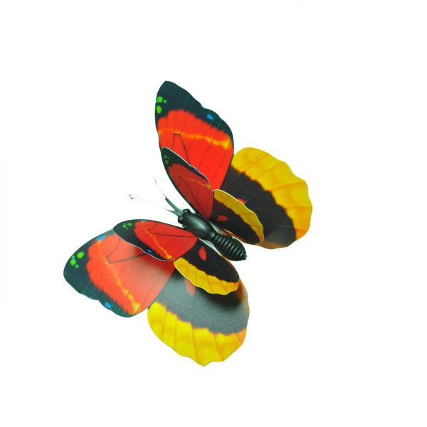 BUTTERFLY B002