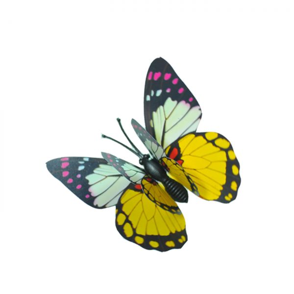 BUTTERFLY B004