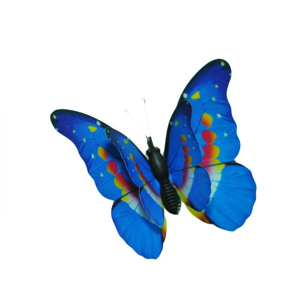 BUTTERFLY B003