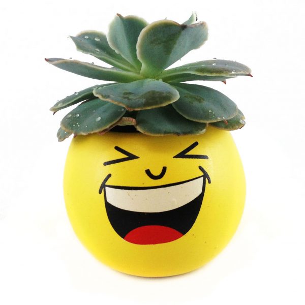 WHIM EMOJI W004