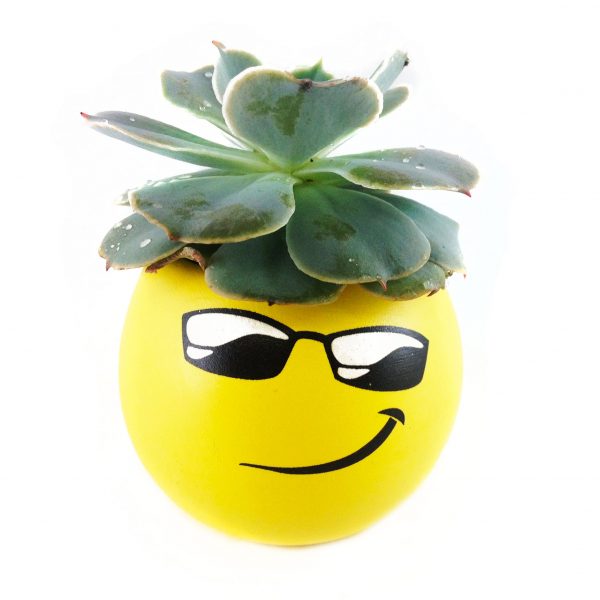 WHIM EMOJI W002