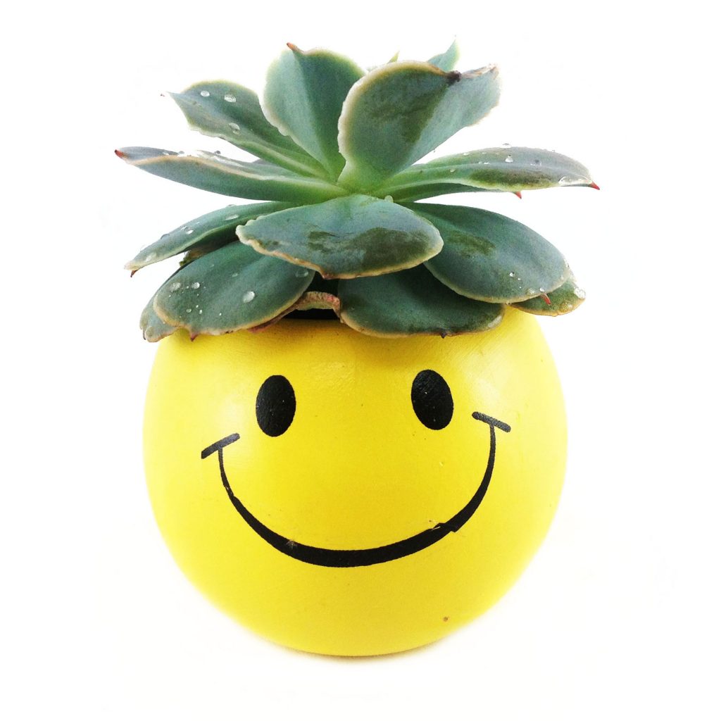WHIM EMOJI W003 MICRO PLANT STUDIO