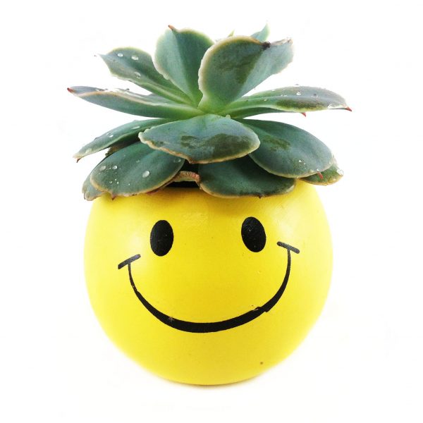 WHIM EMOJI W003