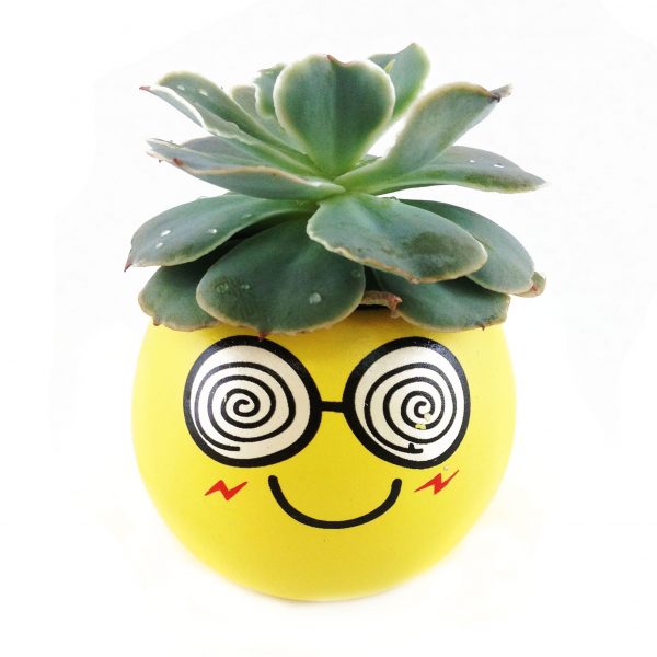 WHIM EMOJI W001