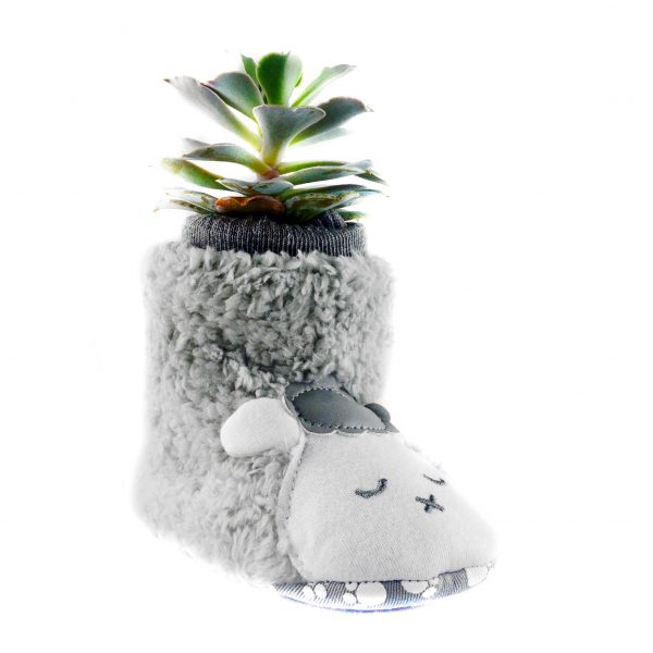 SHOE LB003
