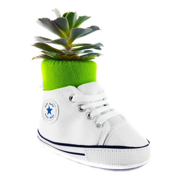 SHOE C005