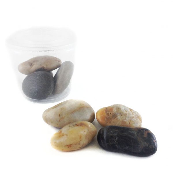 DIY Terrarium Rocks Jade