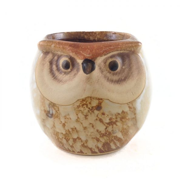 Critter Owl C001