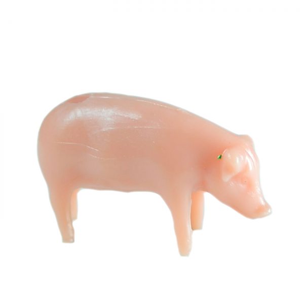 PIG P002