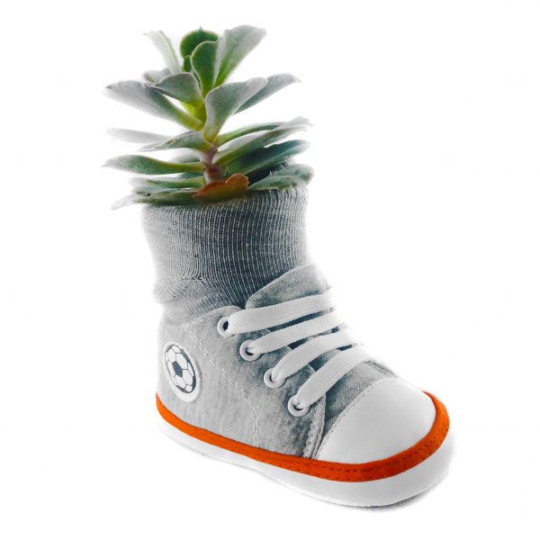 SHOE C007