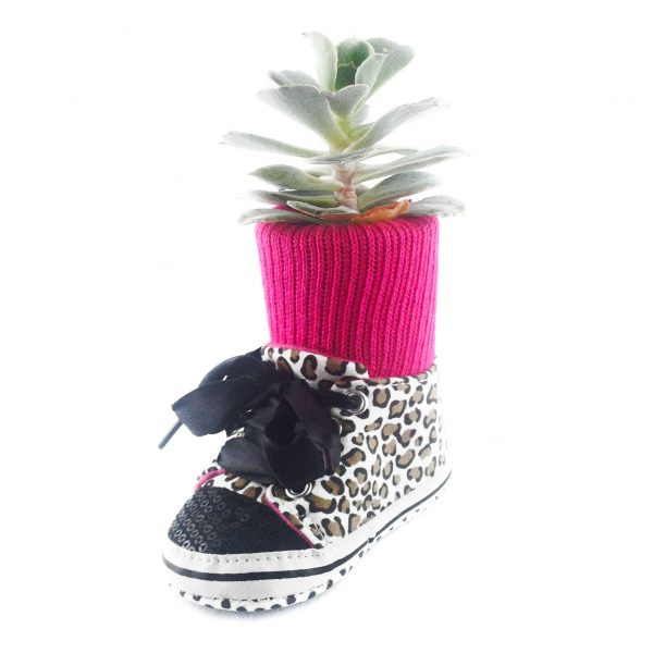 SHOE LP001