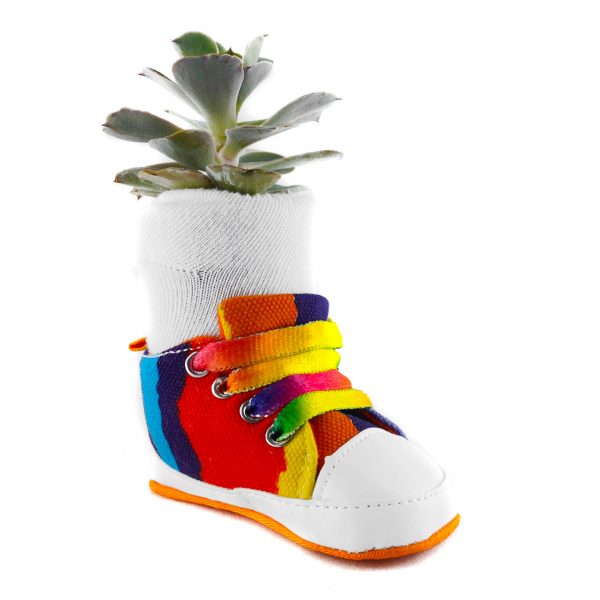 SHOE CM001