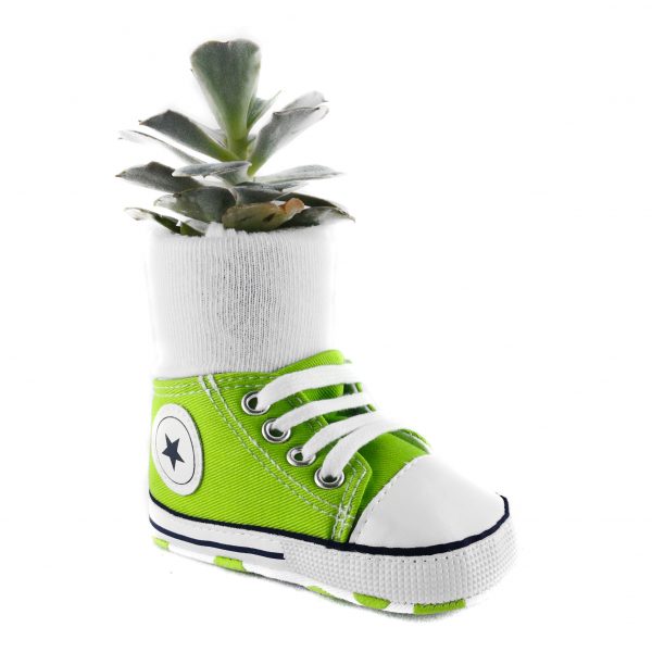 SHOE C001
