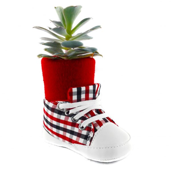 SHOE PP0002