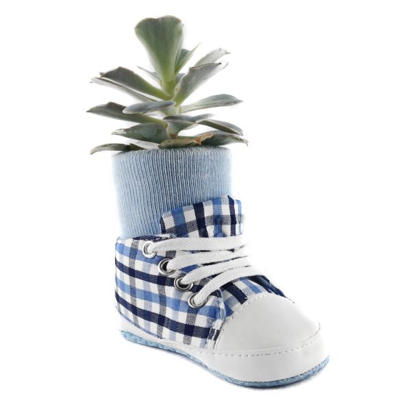 SHOE PP0001