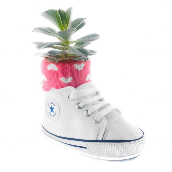 SHOE C003