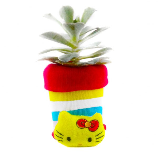 SOCK S009