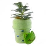 SOCK S001 - Image 2