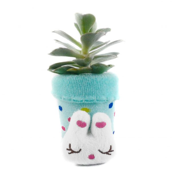 SOCK S008