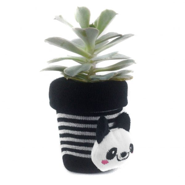 SOCK S006 - Image 2