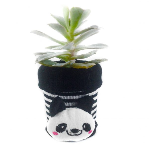 SOCK S006