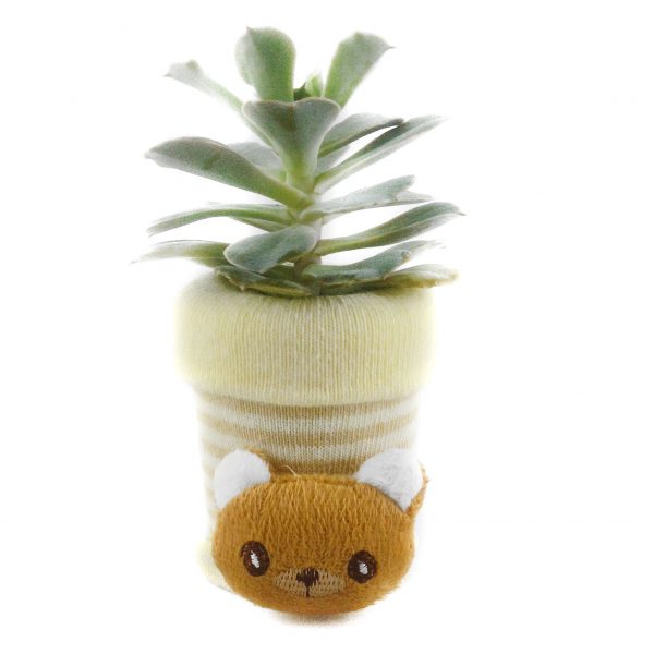SOCK S005