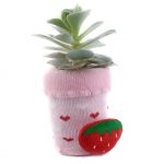 SOCK S004 - Image 2
