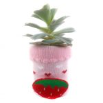 SOCK S004
