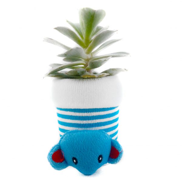 SOCK S003