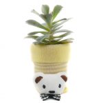SOCK S002