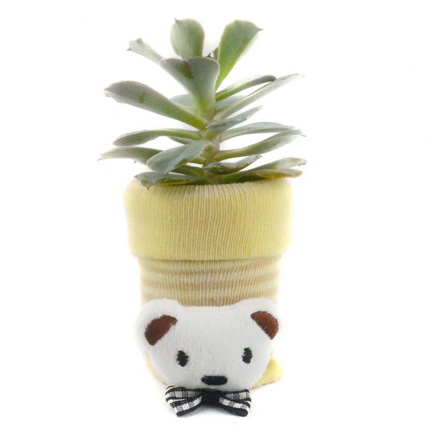 SOCK S002