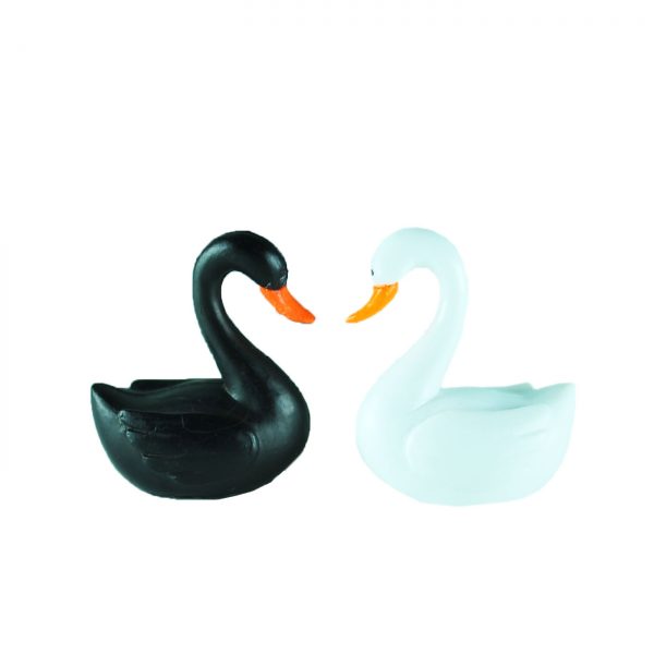 SWANS