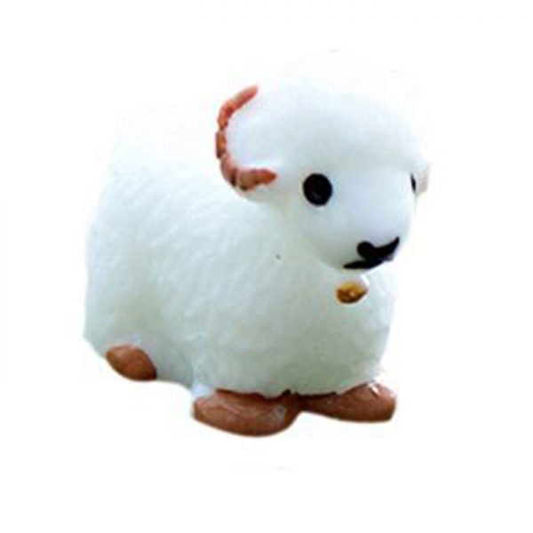 SHEEP 005