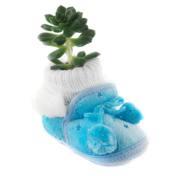 SHOE BN001