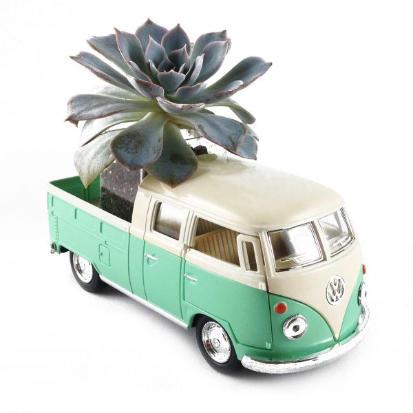 ZOOM VWMB006