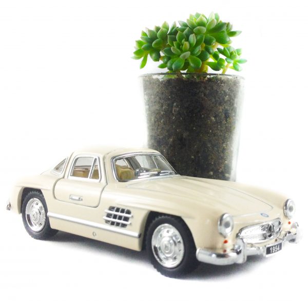 ZOOM MB1954-002