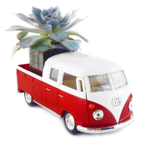 ZOOM VWMB007