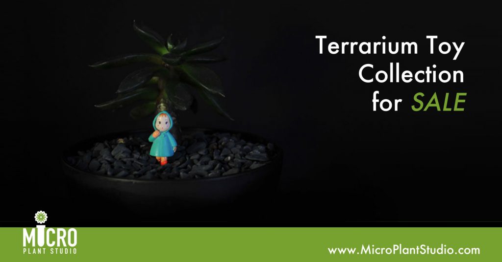 TERRARIUM TOY COLLECTIONS MICRO PLANT STUDIO