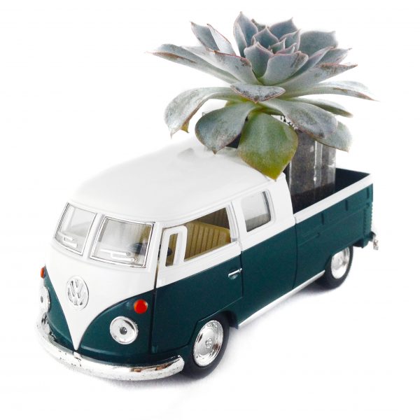 ZOOM VWMB008