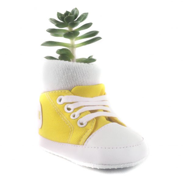 SHOE C008