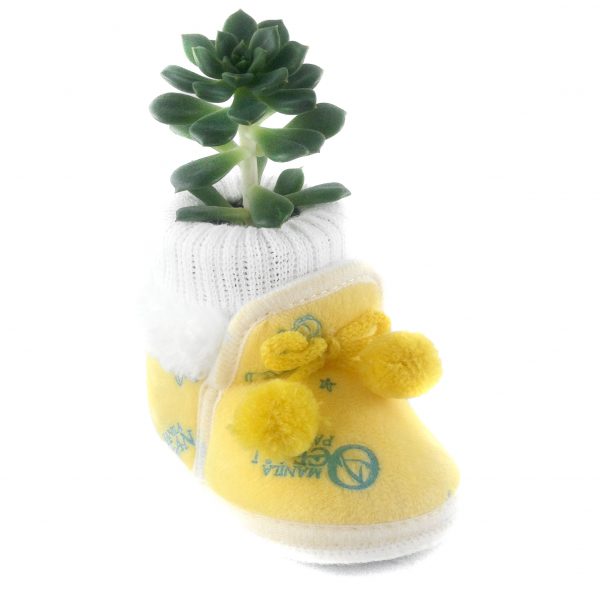 SHOE BN002