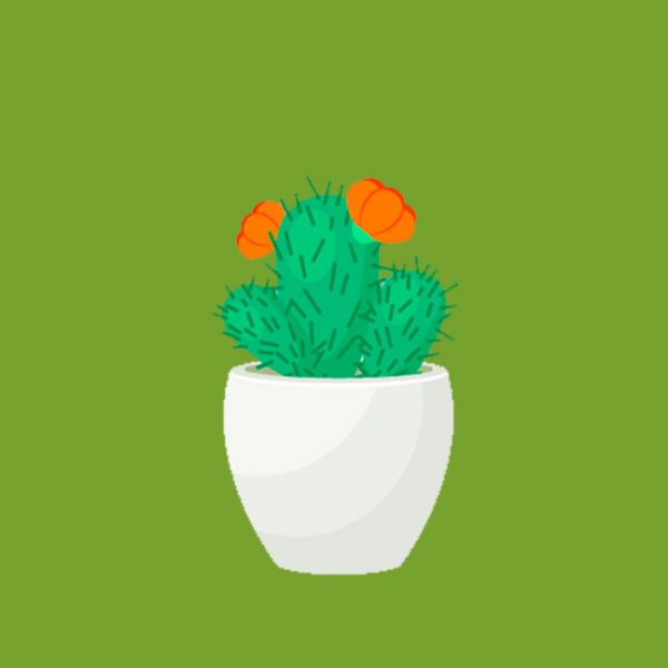PLANT WORKSHOPS